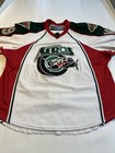 Rare Houston Aeros Mascot Jersey    chilly    K9 Game-worn W  Photos Ahl Reebok