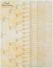 15 Pack Family Tree Charts To Fill In Eight Generation Genealogy Poster 17x22