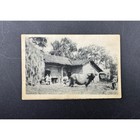 Vintage Postcard Lot Daibutsu Of Kamakura Water Buffalo Outside City Gate
