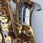 Japan W037 Professional Alto Saxophone Brass Gold-plated Shell Button Alto Sax