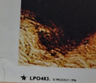Poster - 1996 Original Prodigy  firestarter  License Gb-uk  25x35 5 rave dance