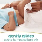 Pampers Sensitive Baby Wipes  Clinically Proven  Fragrance Free  Unscented Water