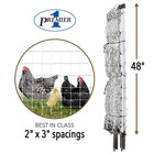 Premier 1 Poultrynet     Electric Fence For Backyard Chickens  Ducks  Turkeys Wit