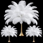 100 Pcs Large Natural White Ostrich Feathers Plumes For Wedding Decor   Centerpi