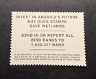 Wtdstamps -  rw73 2006 - Us Federal Duck Stamp - Mint Og Nh