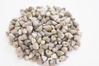 1 Lb Natural Top Mini Shells Seashells Tiny 1 4  Beach Decor Arts Crafts Bulk 