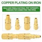 Taisher Air Hose Fittings  1 4  npt Quick Connect Air Coupler  Assorted Styles 