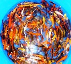 75-lot Assorted 2   -4    Live Koi Standard Fin Fish Mixed Lot Pkf
