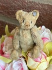 Steiff Early Antique Mohair Mini Bear 3 5   long F Button  Rare Prewar Once White 