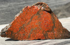2 High Grade Fossil Gem Dino Bone Dinosaur Bone Gembone Rough Slabs Cabbing G4
