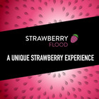 Sour Strawberry Sugar Free Chewing Gum Bulk Pack  15 Stick  pack Of 10 