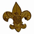 Boy Scouts Of America 1911 Eagle Fleur-de-lis Pin