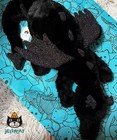 New Jellycat Onyx Dragon Plush     Black - Retired Rare 50cm - New With Tags Gifts