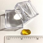 Baltic Amber Insect Inclusion And 4x Magnifying Case Includes Coa