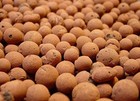 4l Liters Hydroton Clay Pebbles Hydroponic Expanded Rocks Free Shipping Low Cost
