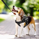 Voopet Service Dog Harness  Emotional Support Pet Vest Harness  Reflective Br   