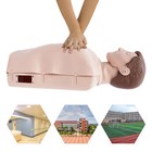 Adult Cpr Adult Manikin For First Aid Training Patient Education Simulator Model