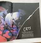 Vintage Cats The Musical Souvenir Program Brochure Broadway Dewynters Plc 1986