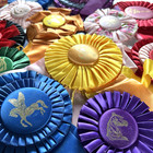Ribbons Rosettes Lot Of 12 Horse Show 1980s - 1990s Purple Yellow Red Blue
