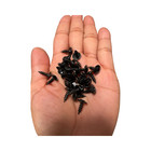  8 X 1 2-inch Phillips Wafer Head Stinger Coarse Screws Gloss Black 500 Pack