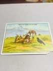 1910 Indian Life In The 1860 s Hassan Cigarette Tobacco Card