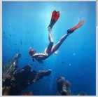 Travel-friendly Snorkeling Kit For Adults  Trek Fins  Dry Top Snorkel   Mask Red