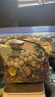 5  Pounds Crafting repurpose wearable Jewelry Lot Mostly Craft Repurpose