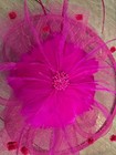 Lucky Leaf Women Girl Fascinators Hair Clip Feather Cocktail Wedding Tea Party