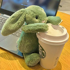 Bashful Green Bunny Rabbit Soft Plush Doll Soft Sweet Stuffed Toy Nwt