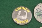 Lot Of 11 Vintage Pins And Buttons