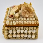 Victorian Era French Shellwork Jewelry Coffin Box Sailor s Valentine Latched