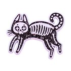 Skeleton Cat Enamel Lapel Pin Black Glitter Real Sic Kitty Novelty Fashion New