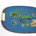 Vintage 1950s Rocky Mountains National Park Tourist Souvenir Serving Tray Japan