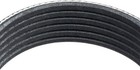 1060460 Serpentine Belt  6-rib  46  Length  Black