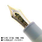 Sailor Fountain Pen Shikiori Amaoto Tou Frozen Rain Mf Nib 11-3059-304 New Japan