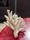 Natural Real White Coral Reef For Aquarium   Home Decoration