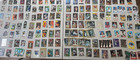 Huge Sports 1 000 Card Lot- Stars  Rookies  Inserts  Parallels  Vintage  Oddball