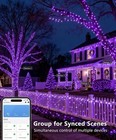 Smart Christmas Tree Lights 98ft 300 Led Color Changing Christmas Lights purple