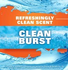 Hefty Ultra Strong 13-gallon Kitchen Trash Bags     Blackout  Clean Burst  40 Ct