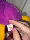 Ty Beanie Babies Patti The Platypus Plush Toy - 4025 Vintage Rare Errors P v c 