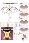 Fiery Dragon 54  Huge Kite For Kids And Adults Easy To Fly Single Line String   