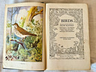 Vintage 1926 The Nature Library 6 Volume Complete Set Illustrated Doubleday