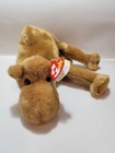 Ty Beanie Babies Humphrey The Camel Plush Toy 13 In