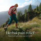 2 29 New Chapter Zyflamend    Joint Supplement   Herbal Pain Relief     10-in-1 Supe