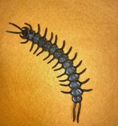Antique Japanese Bronze Centipede Articulated Ornament Meiji Style Rare Figure