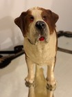 Vintage Breyer Saint Bernard Dog Red Tongue 1970   s  328  Traditional Size