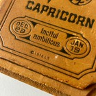 Vintage Capricorn Zodiac Wood Wall Plaque 1976 Astrology Decor Wooden Decor Boho