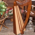 38 Strings Harp Pro Quality Solid Rosewood Irish Celtic Cross Strung