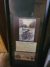  Prostitution License  Dimples Draper 1900   12x26 Signed Martin Jones Jop Print