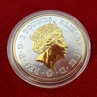 1 Troy Oz  999 Silver2019 British Silver Royal Arms Coin W  24k Gilding By Sfs
